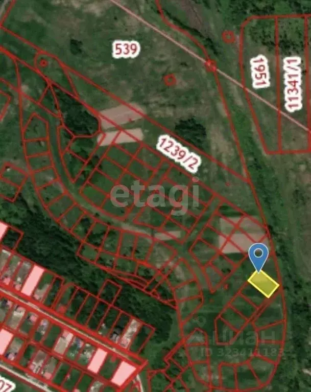 Участок в Тюменская область, Тюменский муниципальный округ, с. Борки  ... - Фото 1