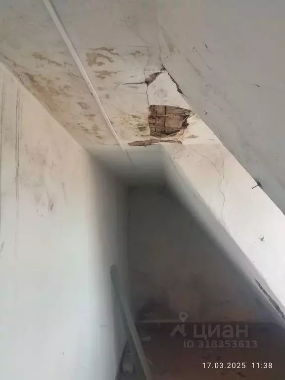 Помещение свободного назначения в Калининградская область, Неманский ... - Фото 0