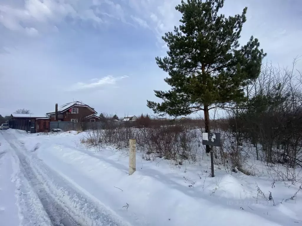 Участок в Воронежская область, Рамонский район, Скляевское с/пос, ... - Фото 2