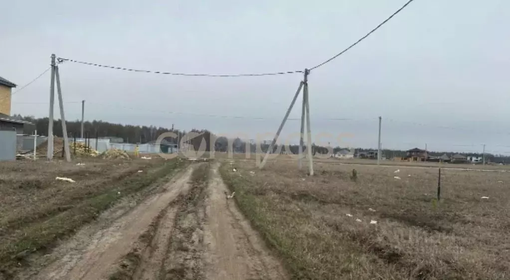 Участок в Тюменская область, Тюменский район, д. Падерина Луговая ул. ... - Фото 1