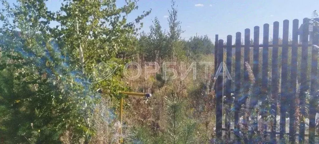 Участок в Тюменская область, Тюменский район, Исток СНТ ул. ... - Фото 1