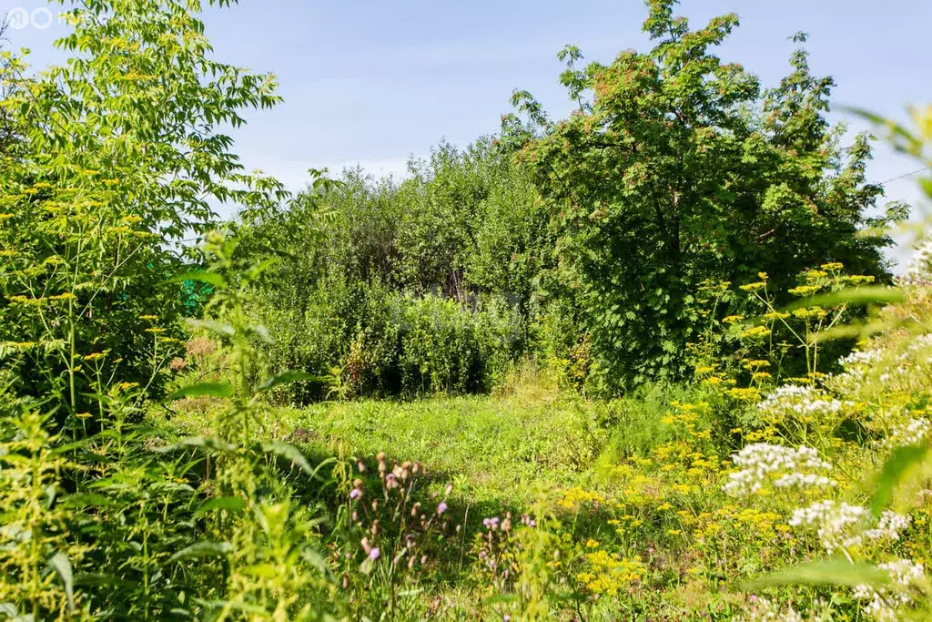 Участок в Новосибирск, садовое товарищество Садовод-ССМ (5 м) - Фото 0