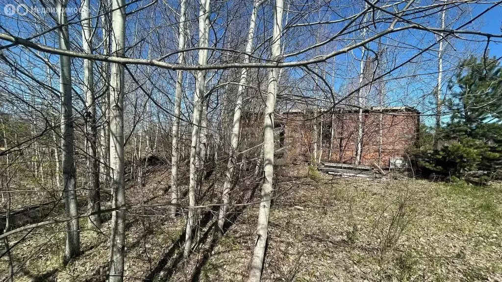 Участок в село Николо-Павловское, Заречная улица (13.8 м) - Фото 1