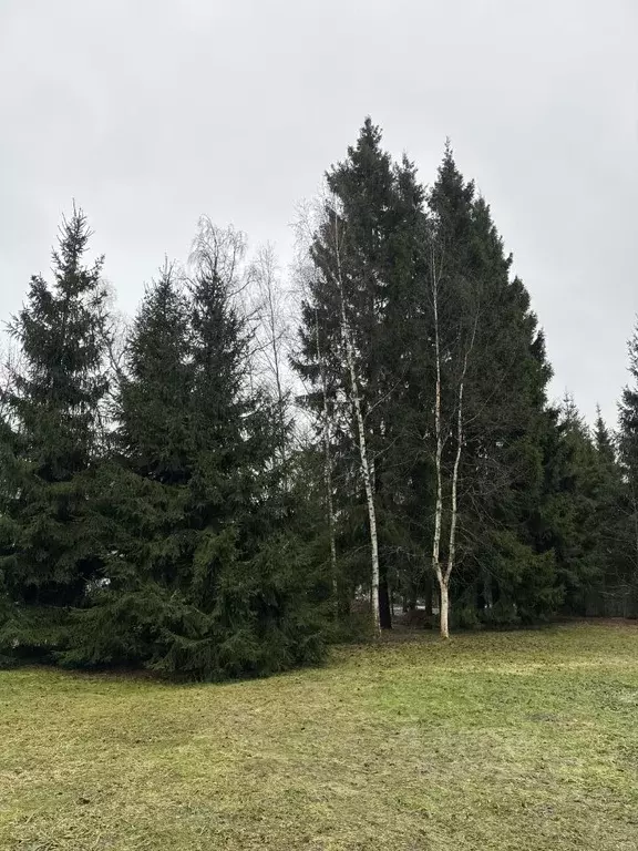 Участок в Московская область, Одинцовский городской округ, д. ... - Фото 1