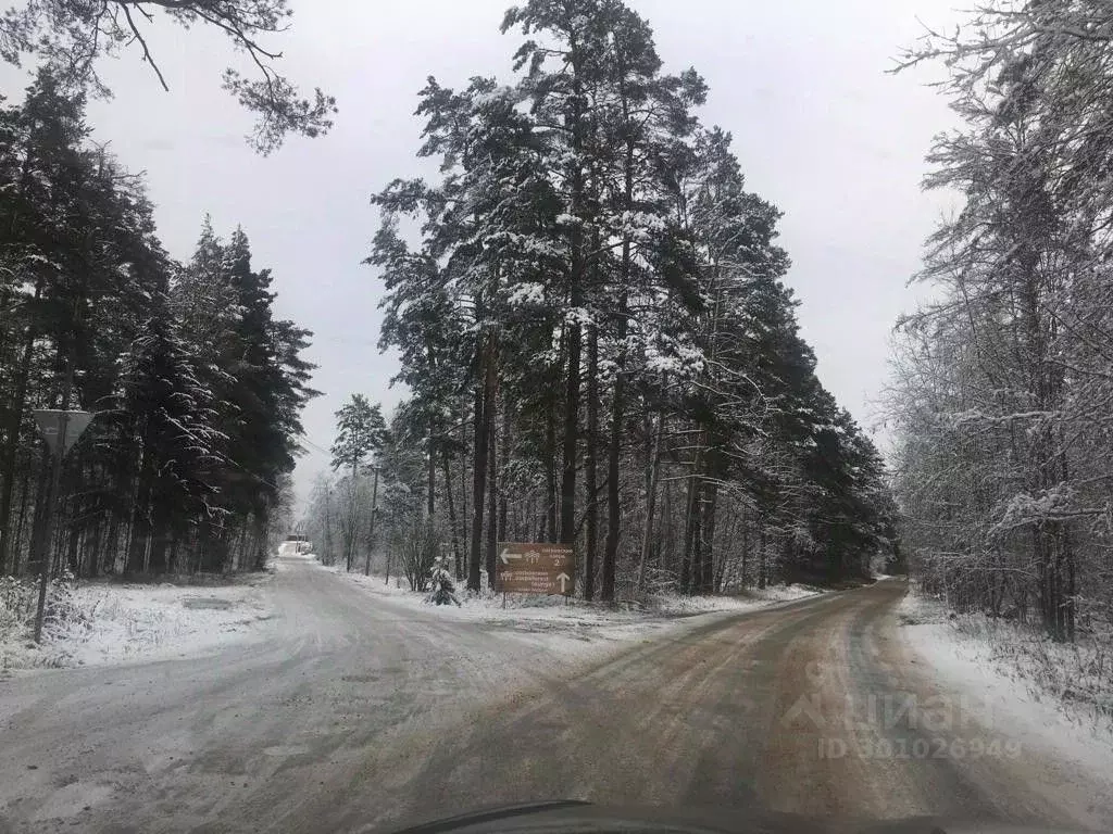 Участок в Ленинградская область, Приозерский район, Сосновское с/пос, ... - Фото 2