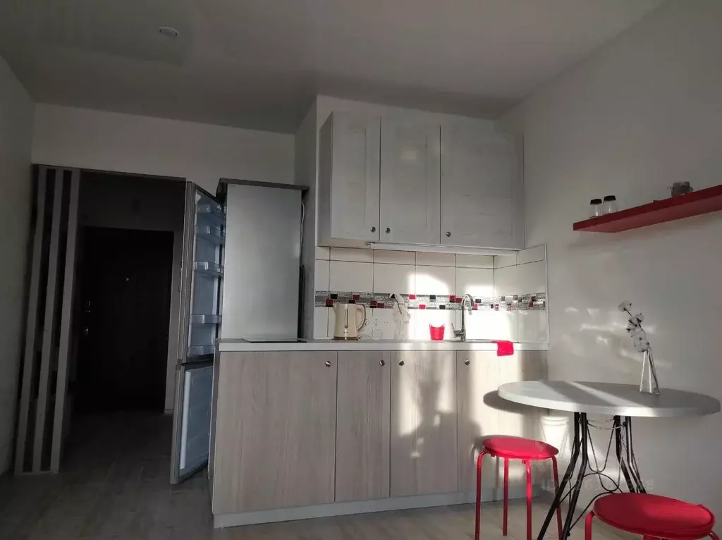 Студия Санкт-Петербург пос. Парголово, ул. Шишкина, 293 (24.0 м) - Фото 2