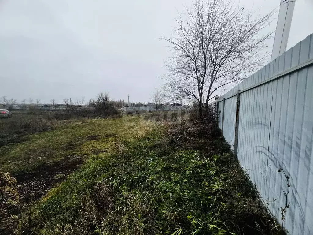 Участок в Саратовская область, Энгельсский район, Красноярское ... - Фото 2