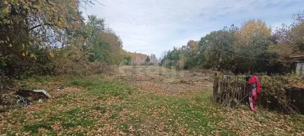 Участок в Амурская область, Серышевский муниципальный округ, с. ... - Фото 1