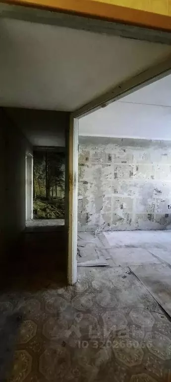 3-к кв. Ленинградская область, Никольское Тосненский район, ... - Фото 1