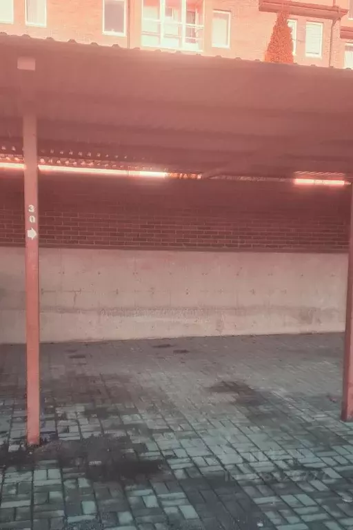 Гараж в Калининградская область, Калининград Артиллерийская ул., 56А ... - Фото 1