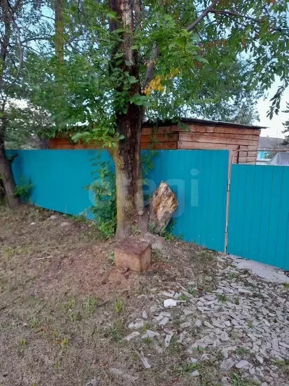 Дом в Амурская область, Ивановский муниципальный округ, с. Березовка ... - Фото 1