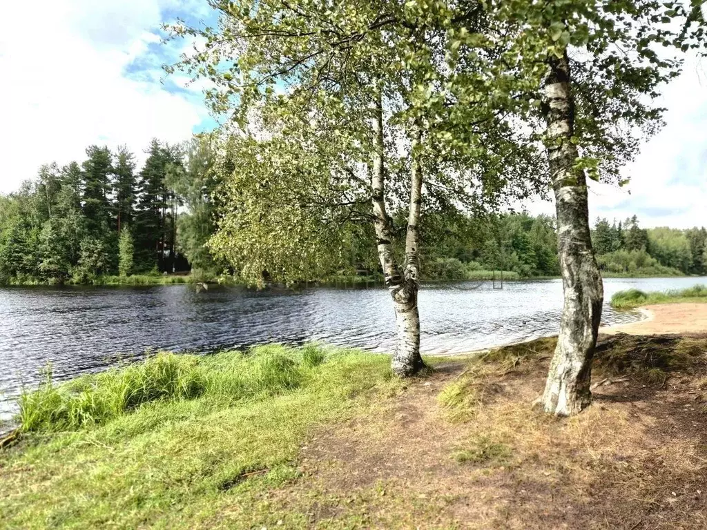 Участок в Ленинградская область, Выборгский район, Рощино пгт, КП ... - Фото 1