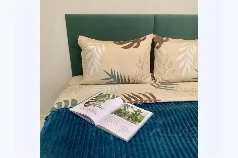 1-к кв. Карелия, Петрозаводск просп. Ленина, 10 (32.0 м) - Фото 2