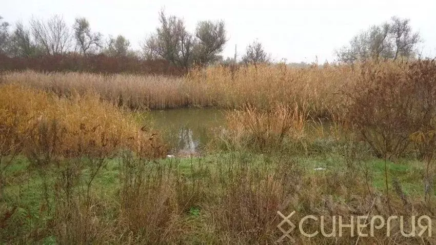 Дом в Ростовская область, Азовский район, Елизаветинское с/пос, ... - Фото 1