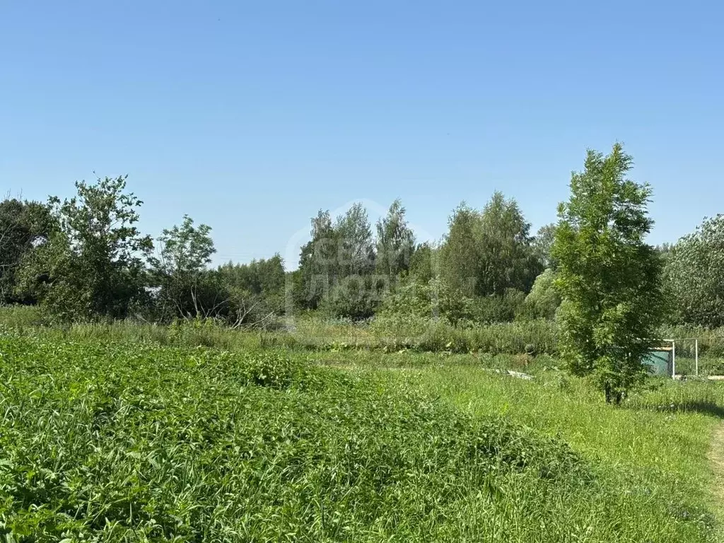 Участок в Рязанская область, Скопинский район, Успенское с/пос, с. ... - Фото 1