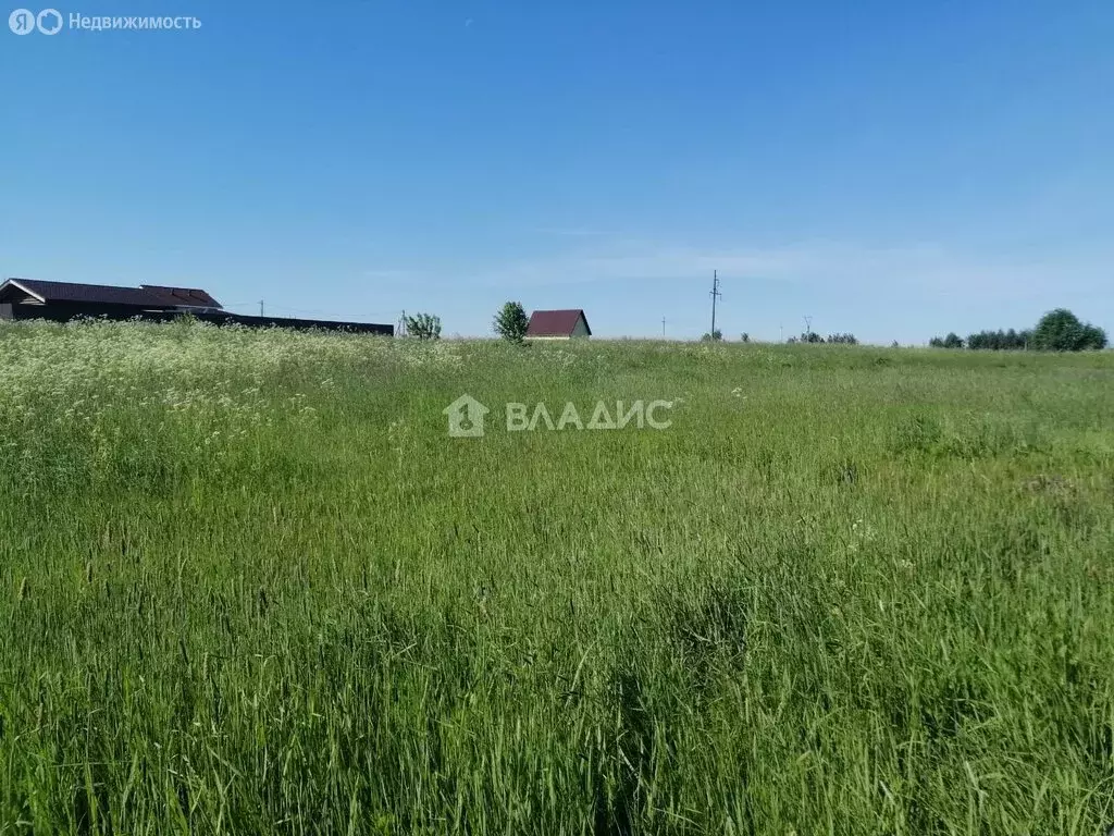 Участок в Вологодский муниципальный округ, село Кубенское (15 м) - Фото 2