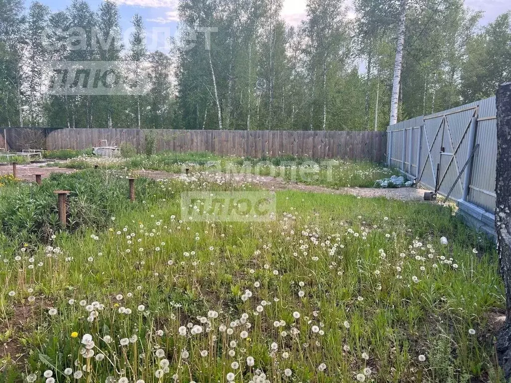 Дом в Тюменская область, Тюмень Зауралец СНТ, ул. Медиков, 65 (48 м) - Фото 2