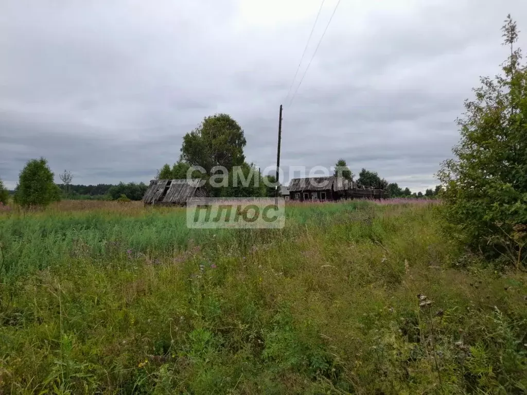 Участок в Архангельская область, Вилегодский муниципальный округ, д. ... - Фото 1