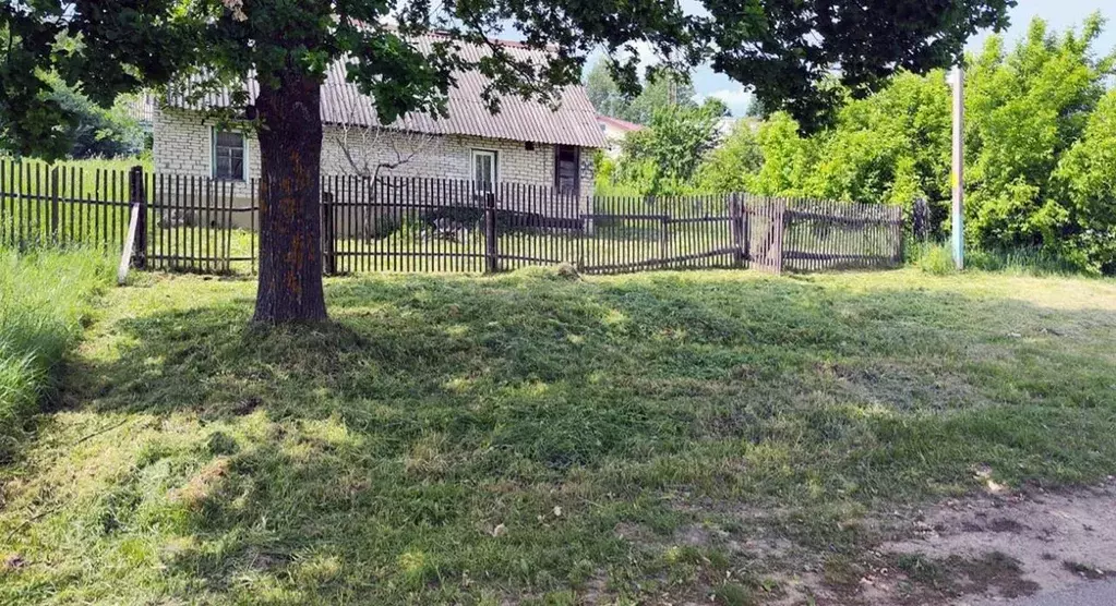 Дом в Калужская область, Думиничи пгт ул. Лермонтова, 35 (56 м) - Фото 1