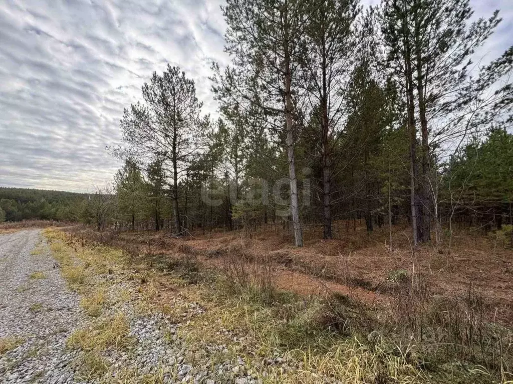 Участок в Свердловская область, Талица ул. Луначарского (11.0 сот.) - Фото 1