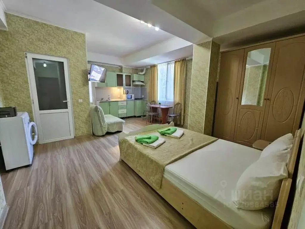 1-к кв. Краснодарский край, Сочи ул. Ленина, 42А (30.0 м) - Фото 1