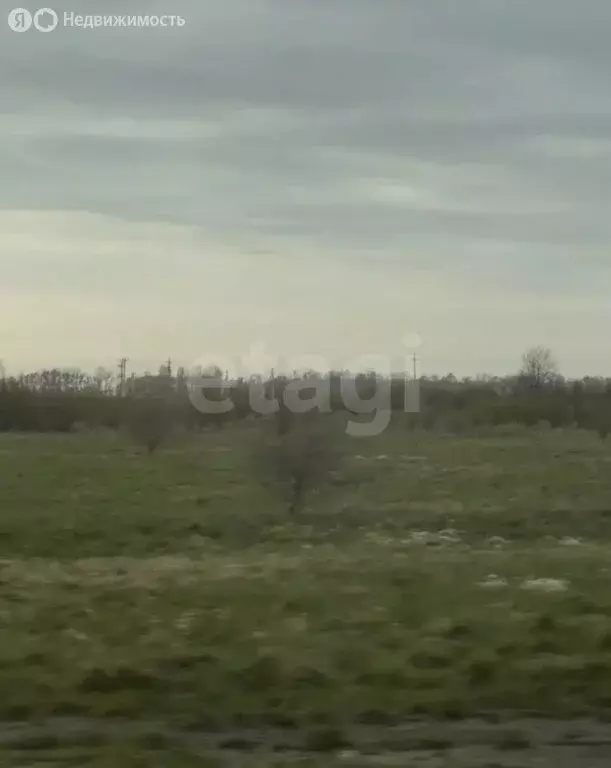 Участок в Калининградская область, Зеленоградский муниципальный округ, ... - Фото 2