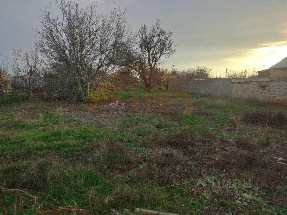 Участок в Крым, Сакский район, с. Орехово ул. Виноградная (5.39 сот.) - Фото 1