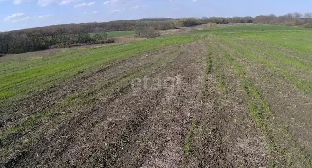 Купить Участок В Белоярском Районе