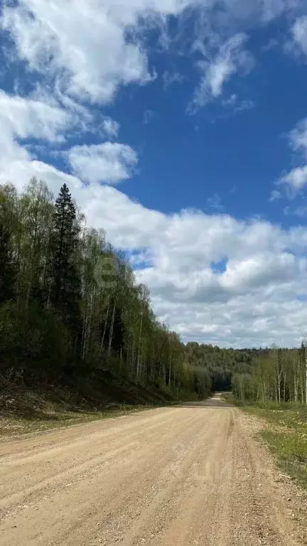 Участок в Башкортостан, Караидельский район, Кирзинский сельсовет, с. ... - Фото 2