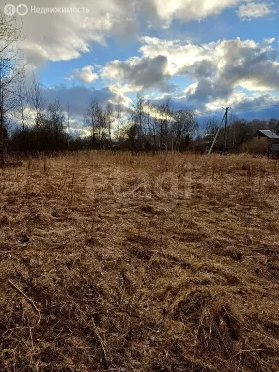 Участок в Московская область, Богородский городской округ, деревня ... - Фото 1