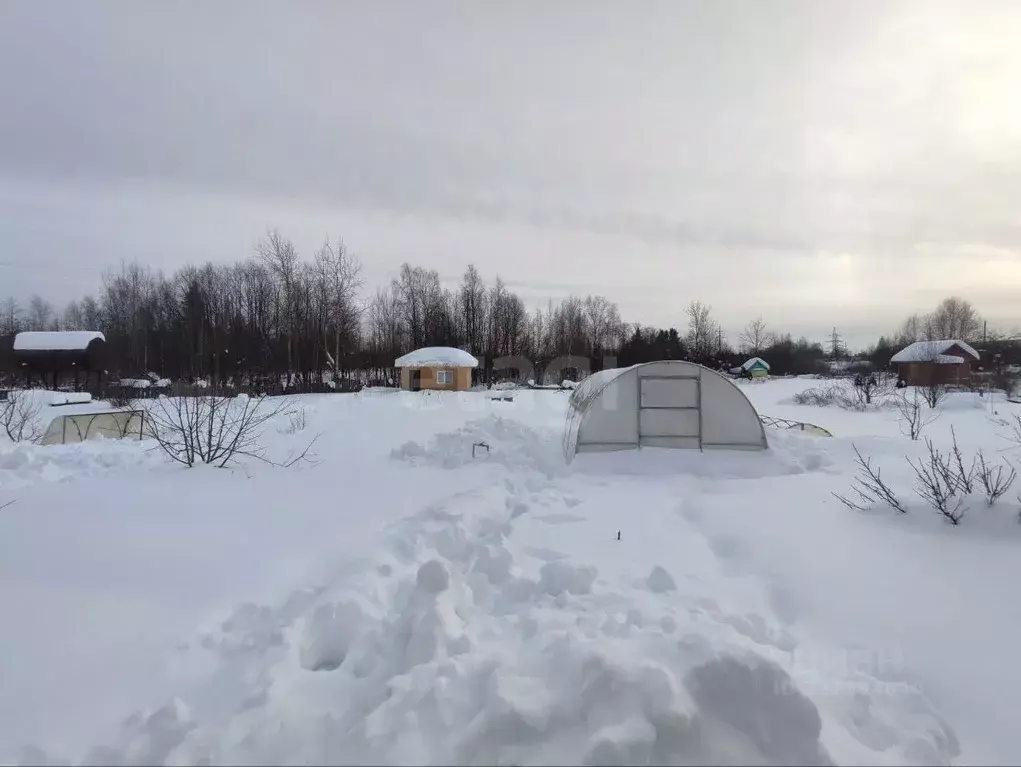 Дом в Костромская область, Буй КС № 6 СНТ,  (10 м) - Фото 1