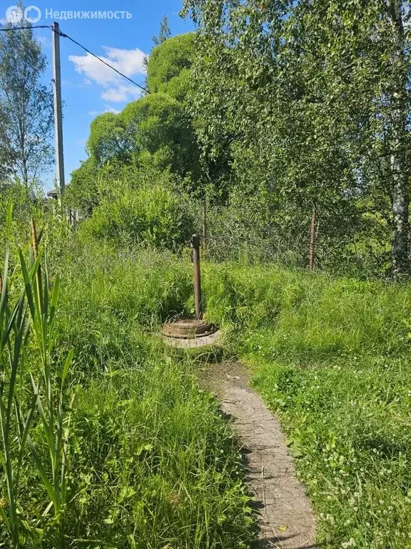 Дом в Чудово, улица Возрождения, 15 (47.9 м) - Фото 0