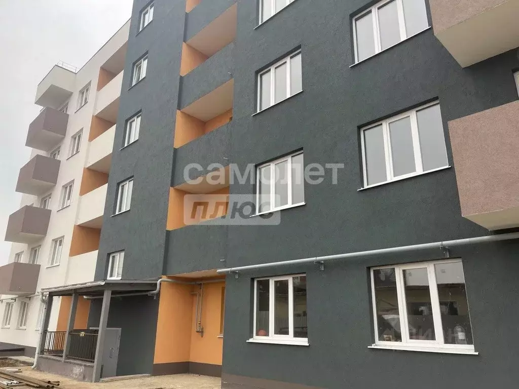 1-к кв. Калужская область, Совхоз Боровский с/пос, д. Кабицыно ул. ... - Фото 1