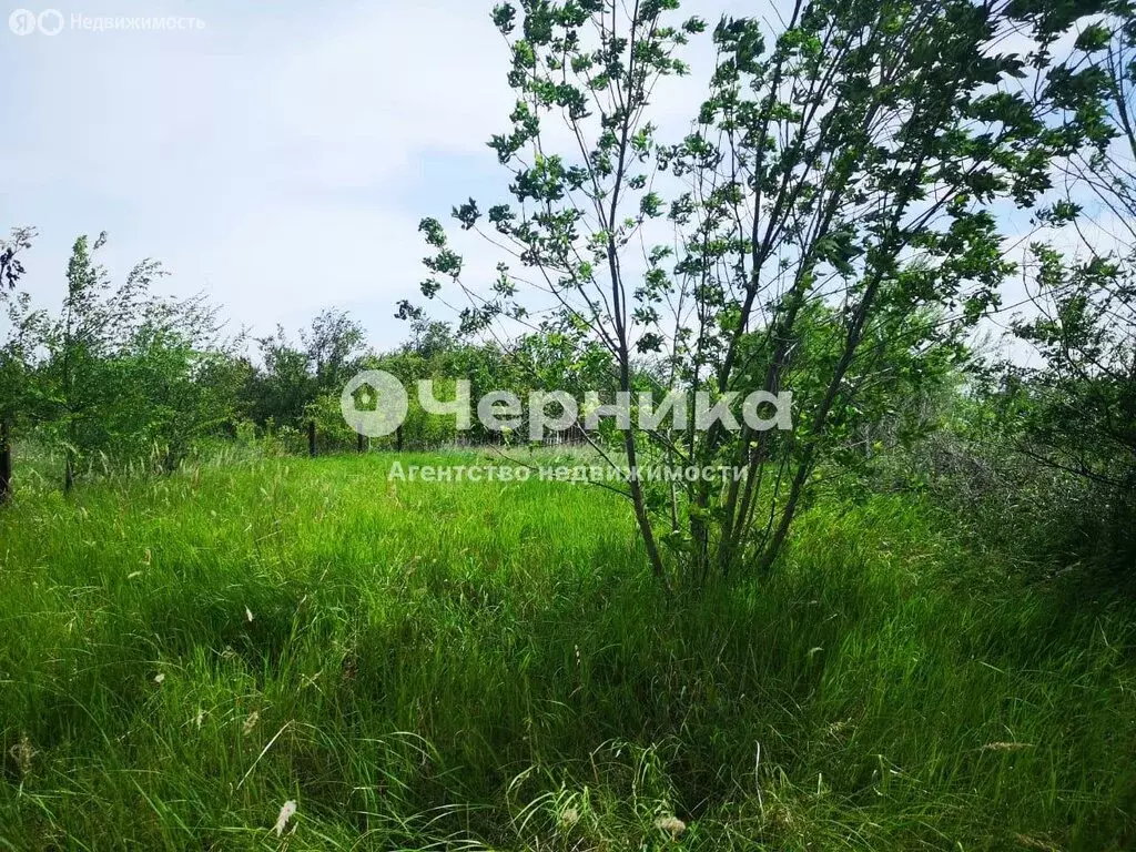 Участок в посёлок Интернациональный, Ясеневая улица (12 м) - Фото 1