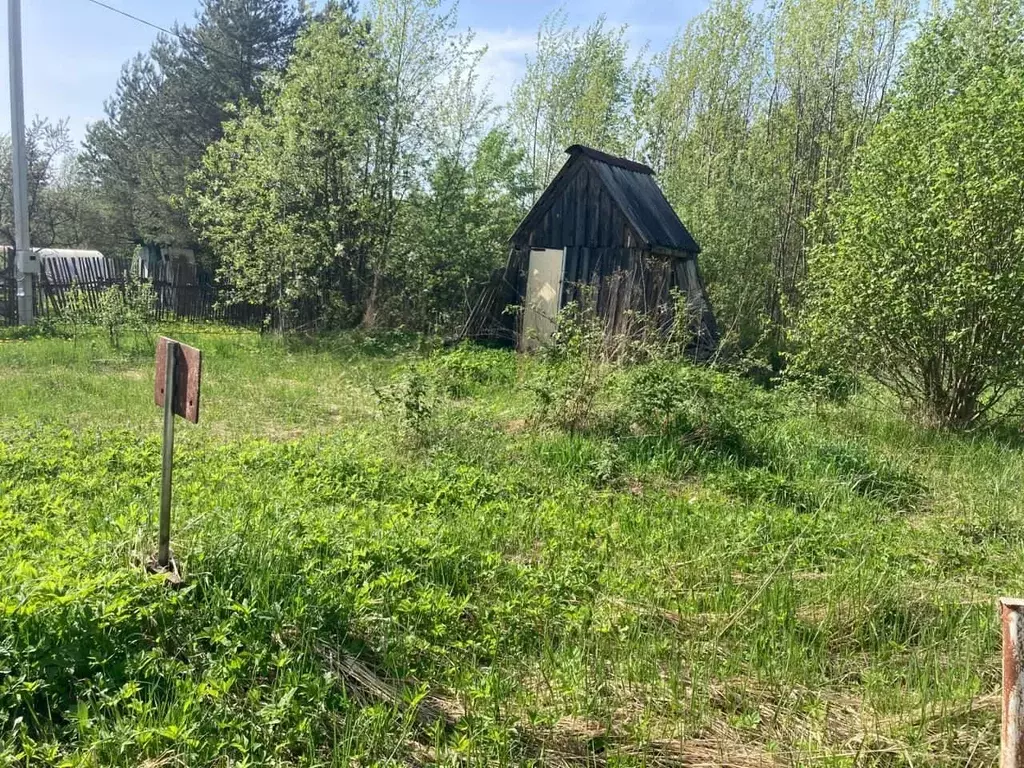 Участок в Ярославская область, Рыбинский муниципальный округ, ... - Фото 2