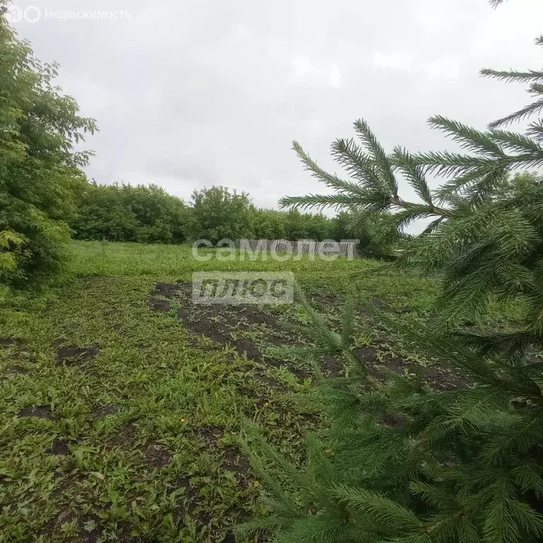 Участок в Свердловская область, Белоярский муниципальный округ, ... - Фото 1
