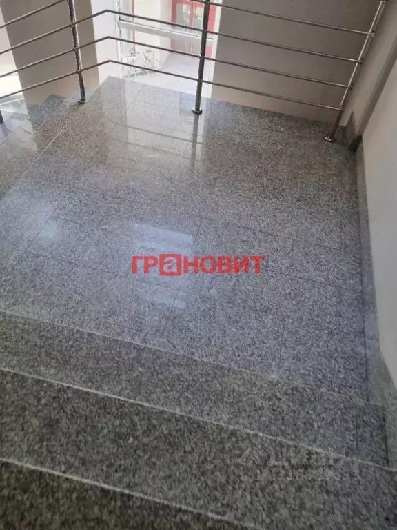 Помещение свободного назначения в Новосибирская область, Новосибирск ... - Фото 1