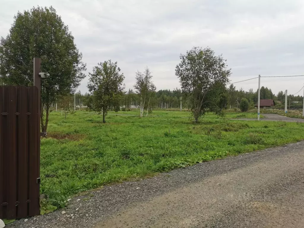 Участок в Московская область, Дмитровский муниципальный округ, д. ... - Фото 0