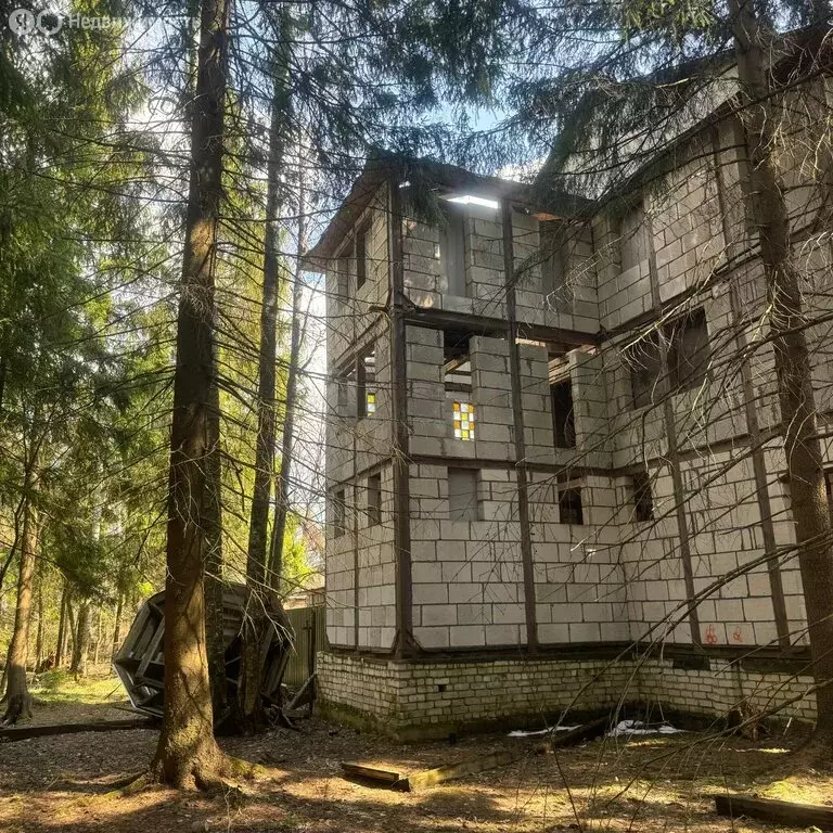 Участок в Московская область, городской округ Щёлково, СНТ Заозёрный, ... - Фото 1