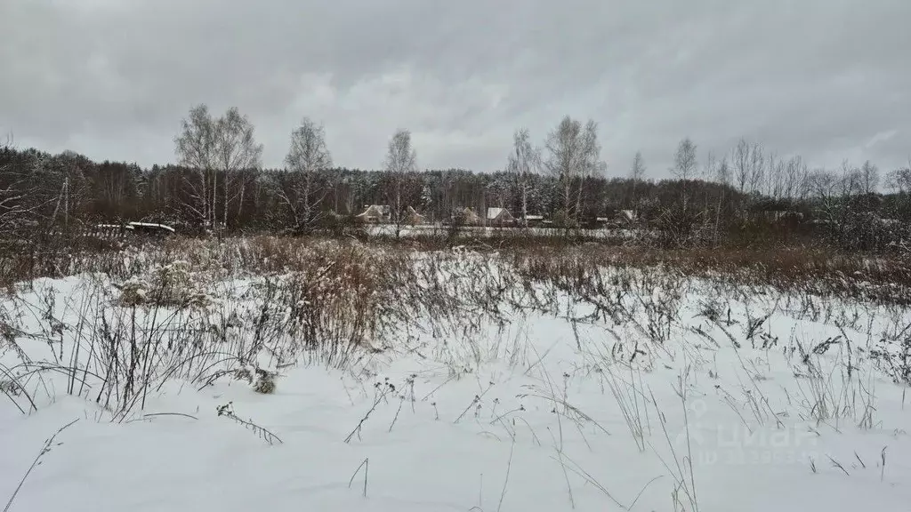 Участок в Московская область, Сергиево-Посадский городской округ, д. ... - Фото 1