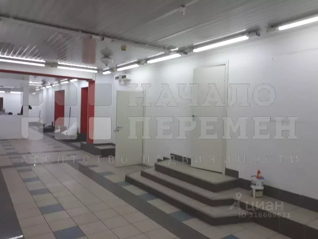 Помещение свободного назначения в Новосибирская область, Новосибирск ... - Фото 1
