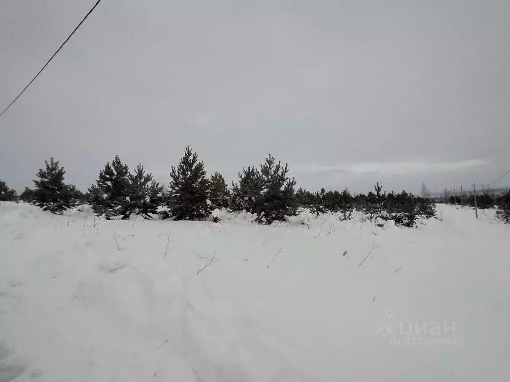 Участок в Пермский край, Пермский муниципальный округ, д. Горшки  ... - Фото 1