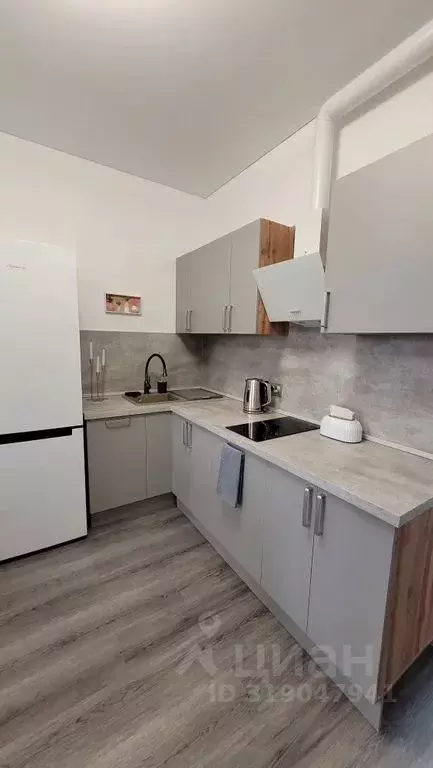 Студия Санкт-Петербург ул. Ультрамариновая, 5 (24.0 м) - Фото 1
