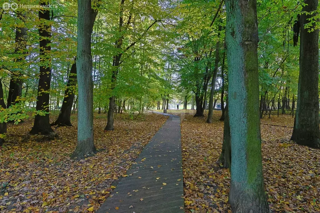 5-комнатная квартира: Калининград, Земельная улица, 14 (195.2 м) - Фото 2