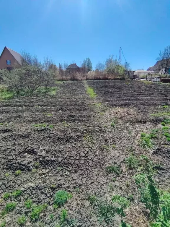 Участок в Кемеровская область, Кемеровский район, Авиатор СНТ  (6.0 ... - Фото 1