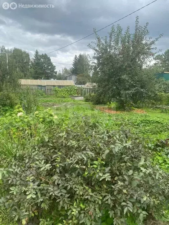 Дом в Колыванский район, СНТ Электрон, улица Новый Рыбачий - 2 (24 м) - Фото 0