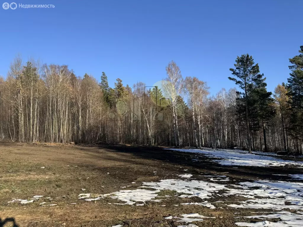 Участок в Иркутский муниципальный округ, деревня Новолисиха, посёлок ... - Фото 1