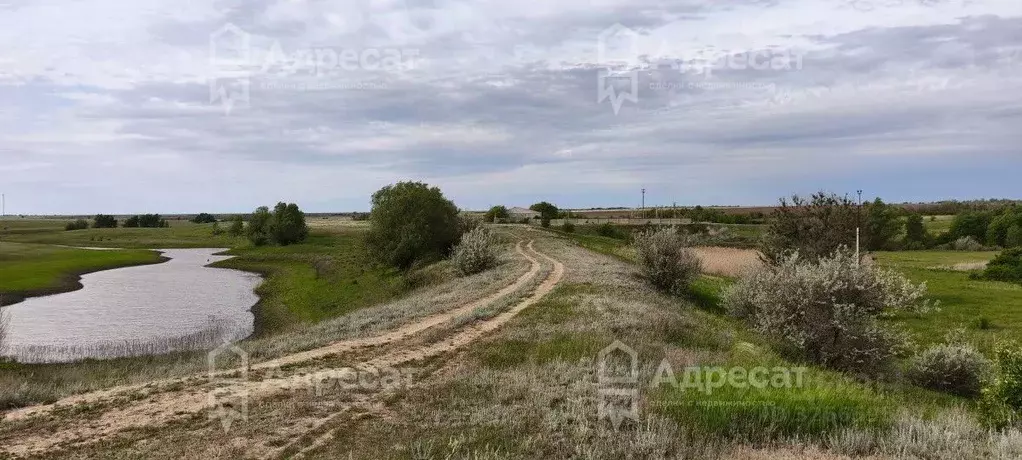 Помещение свободного назначения в Волгоградская область, Дубовский ... - Фото 1
