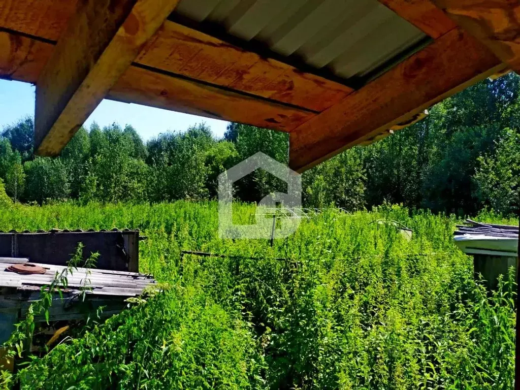 Участок в Томская область, Томский район, Росинка садовое товарищество ... - Фото 1