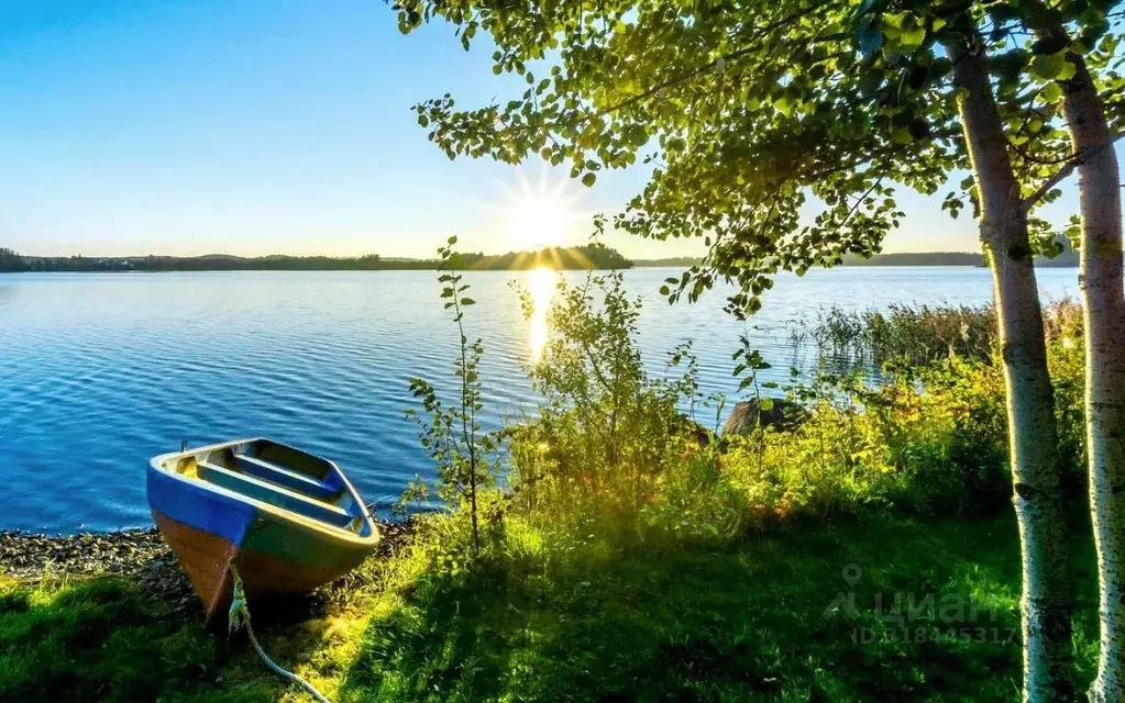 Участок в Челябинская область, Красноармейский муниципальный округ, ... - Фото 1